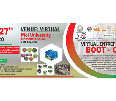 Virtual Entrepreneurial Boot-camp 2020